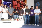 Bheemili Movie Audio Function photos - 31 of 78