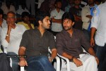 Bheemili Movie Audio Function photos - 45 of 78