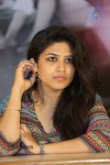 Bhoo Movie Success Meet - 29 of 55