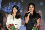 Billa Ranga Audio Launch - 90 of 272