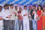 Boom Boom Audio Launch  - 43 of 114