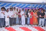 Boom Boom Audio Launch  - 53 of 114