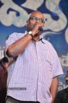 Brindavanam Movie Audio Launch Photos  - 146 of 175