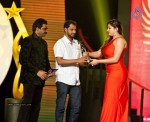 Celebs at SIIMA Awards - 85 of 97