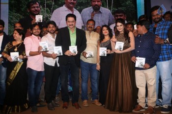 C/O Godavari Audio Launch - 24 of 42