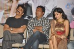 Gaganam Movie Success Meet - 41 of 41