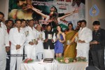 Galli Kurrollu Movie Audio Launch - 33 of 41