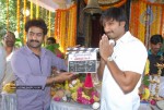 Gopichand New Movie Opening - 42 of 73