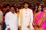 Gopichand Wedding Reception 02 - 28 of 173