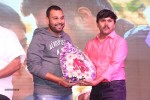 Hyderabad Love Story Audio Launch - 68 of 90
