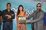 Iddarammayilatho Movie Opening - 63 of 98