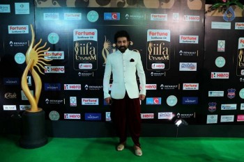 IIFA Utsavam 2017 Photos - 19 of 53