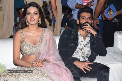 Ismart Shankar Audio Launch  - 10 of 41