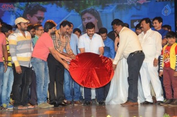 Jakkanna Audio Launch 3 - 58 of 75