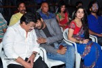 Jyothi Lakshmi Success Meet - 217 of 249