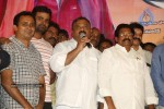 Kakatiyudu Movie Audio Launch - 10 of 64