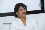 Kedi Movie Press Meet - 18 of 50