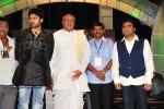 Komaram Puli Movie Audio Release - 87 of 247