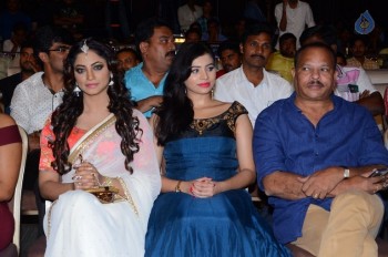 Kotikokkadu Audio Launch 1 - 27 of 42