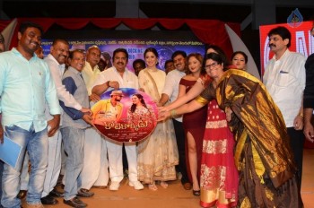 Kotikokkadu Audio Launch 2 - 4 of 63