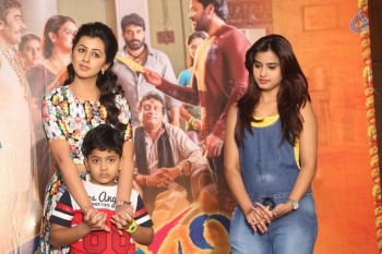 Krishnashtami Success Meet - 16 of 35