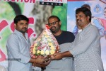 Lovers Platinum Disc Function Photos - 135 of 152