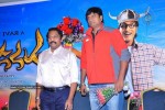 Manasara Movie Success Meet - 62 of 87