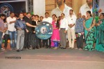 Minugurulu Audio Launch - 24 of 101