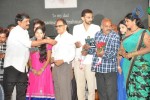 Minugurulu Audio Launch - 36 of 101