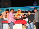 Mirapakaya Movie Audio Launch - 42 of 107