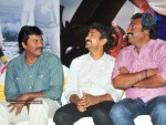 Mirapakaya Movie Audio Launch - 49 of 107