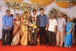 Mohana Sanghavi Wedding Reception - 23 of 48