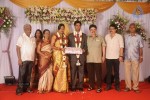 Mohana Sanghavi Wedding Reception - 47 of 48