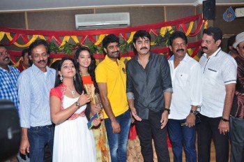 Mounam Movie Opening Photos - 32 of 63