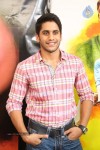 Naga Chaitanya Interview Photos - 45 of 65