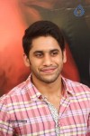 Naga Chaitanya Interview Photos - 47 of 65