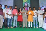 Panchami Audio Launch - 95 of 121