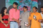 Panchami Audio Launch - 99 of 121