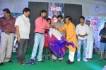 Panchami Audio Launch - 116 of 121