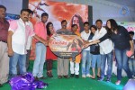 Panchami Audio Launch - 120 of 121