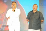 Pavitra Movie Audio Launch 02 - 133 of 160