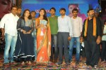 Pavitra Movie Audio Launch 02 - 134 of 160