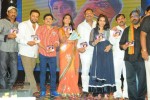 Pavitra Movie Audio Launch 02 - 142 of 160