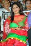 Pavitra Movie Audio Launch 02 - 149 of 160