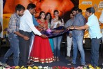 Pichekkistha Movie Audio Launch - 132 of 144