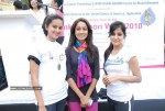 Pink Ribbon Walk 2010  - 158 of 229