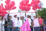 Pink Ribbon Walk 2010  - 167 of 229