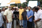 Prabhanjanam Movie Opening - 26 of 122