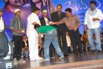 Prema Kavali Movie Audio Launch - 174 of 233