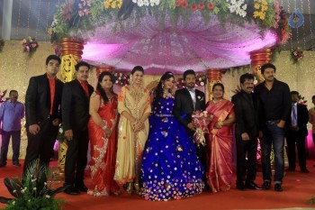 Prithvi Rajan Wedding Reception - 24 of 49